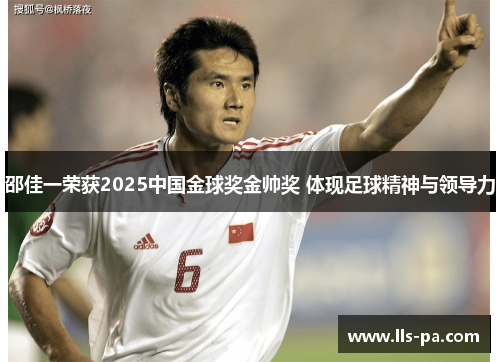 邵佳一荣获2025中国金球奖金帅奖 体现足球精神与领导力 邵佳一荣获2025中国金球奖金帅奖 体现足球精神与领导力